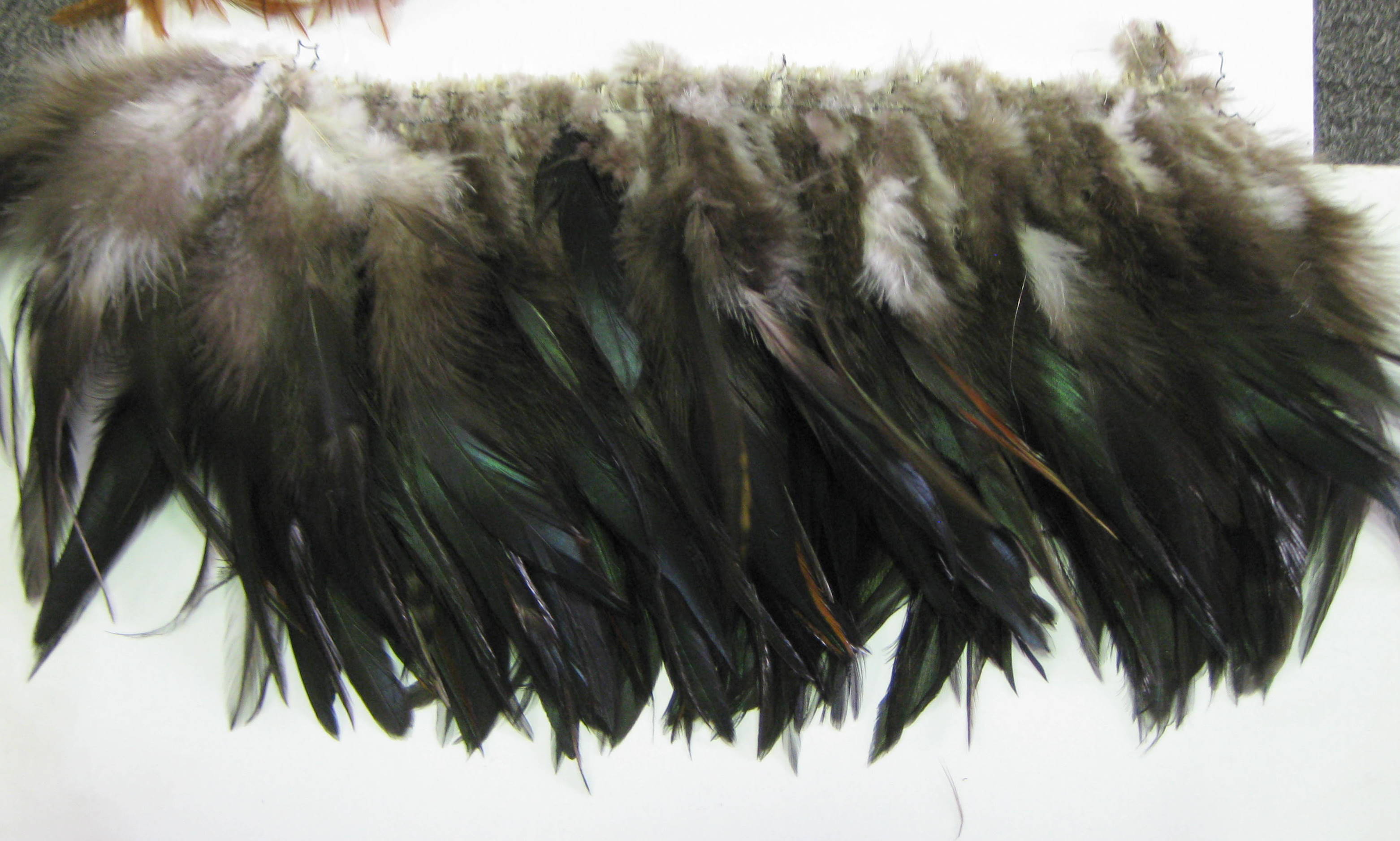 HACKEL FEATHER HACKEL FEATHER